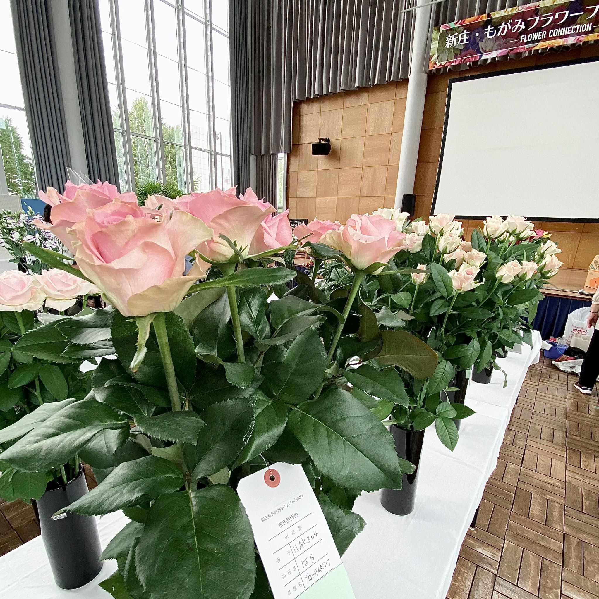 resizeIMG_2731.jpg