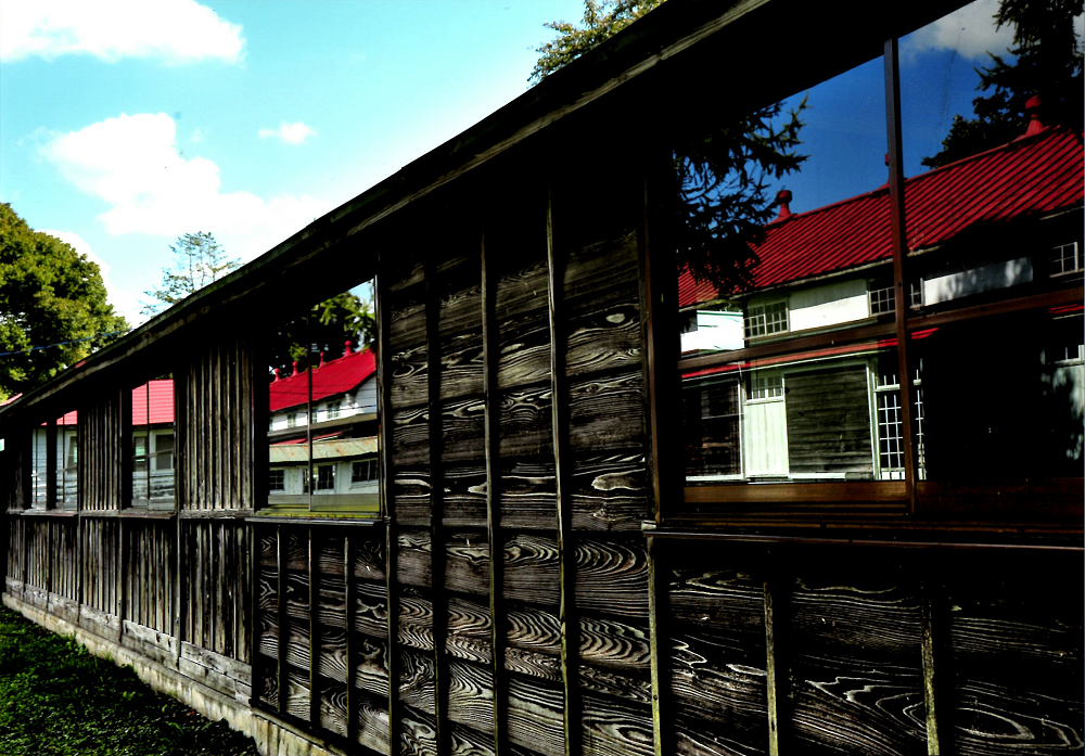P35.png