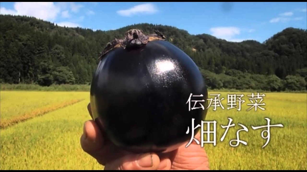 第15回ふるさとCM大賞応募作品「まるっと新庄」サムネイル画像